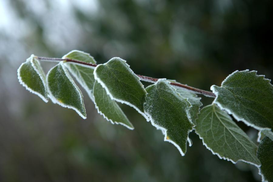 Latvijas austrumos gaisa temperatūra šorīt pazeminājās līdz mīnus 6 grādiem