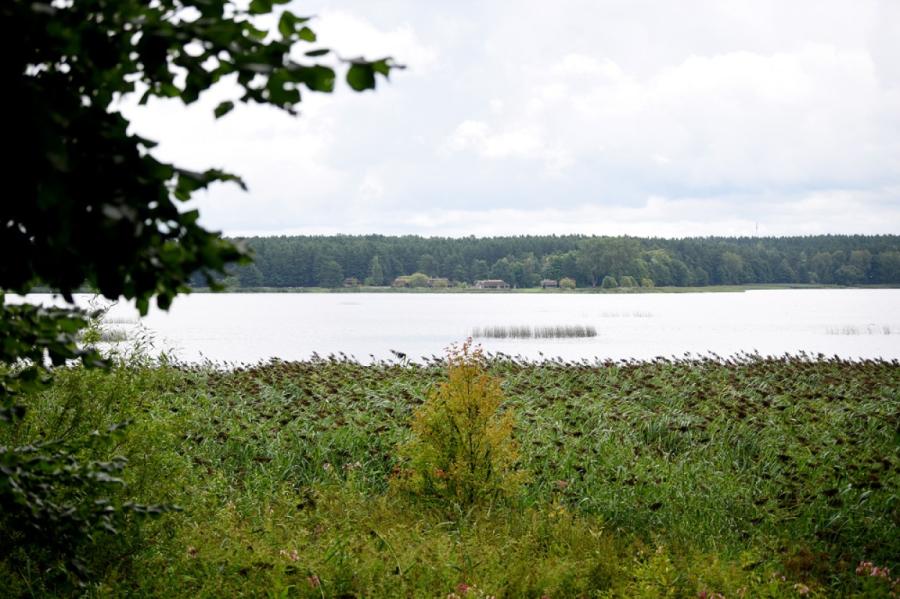 Rīgā veido Juglas ezera pastaigu taku «Sajūti Juglu»
