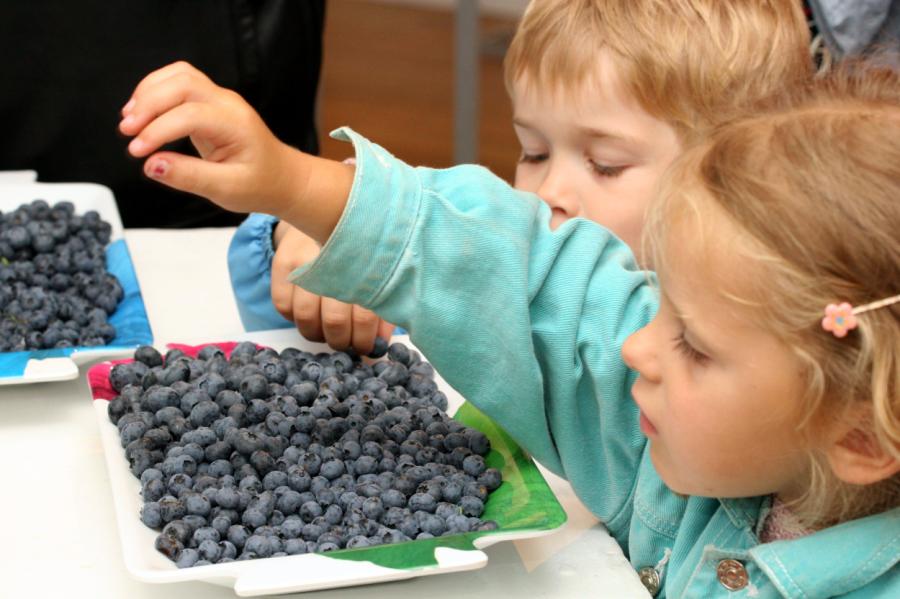 Melleņu audzētāji: Šogad Latvijā gaidāma laba melleņu raža