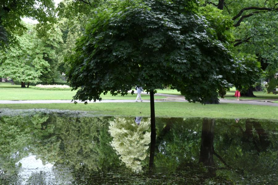 Tuvākajās dienās iespējamas stipras pērkona lietusgāzes