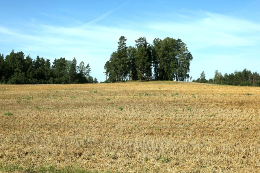 Latvijā gaidāma saulaina un silta diena