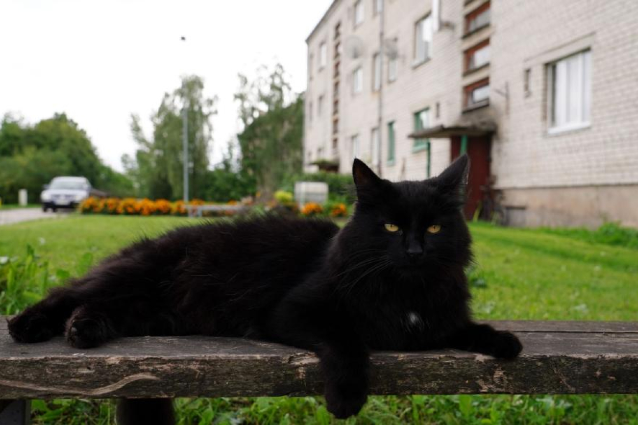 Piektdien Latvijā nokrišņi nav gaidāmi