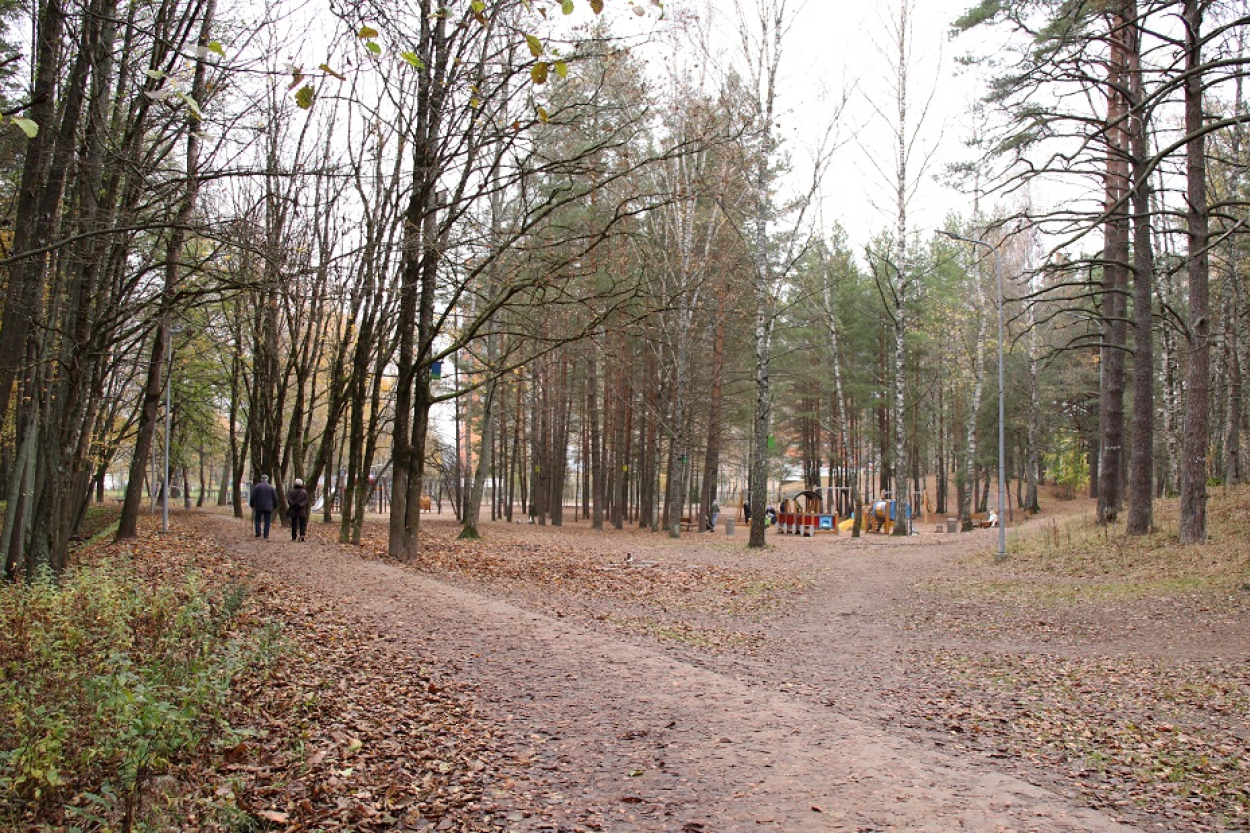 Rīgas Anniņmuižas parku plāno noteikt par mežaparku