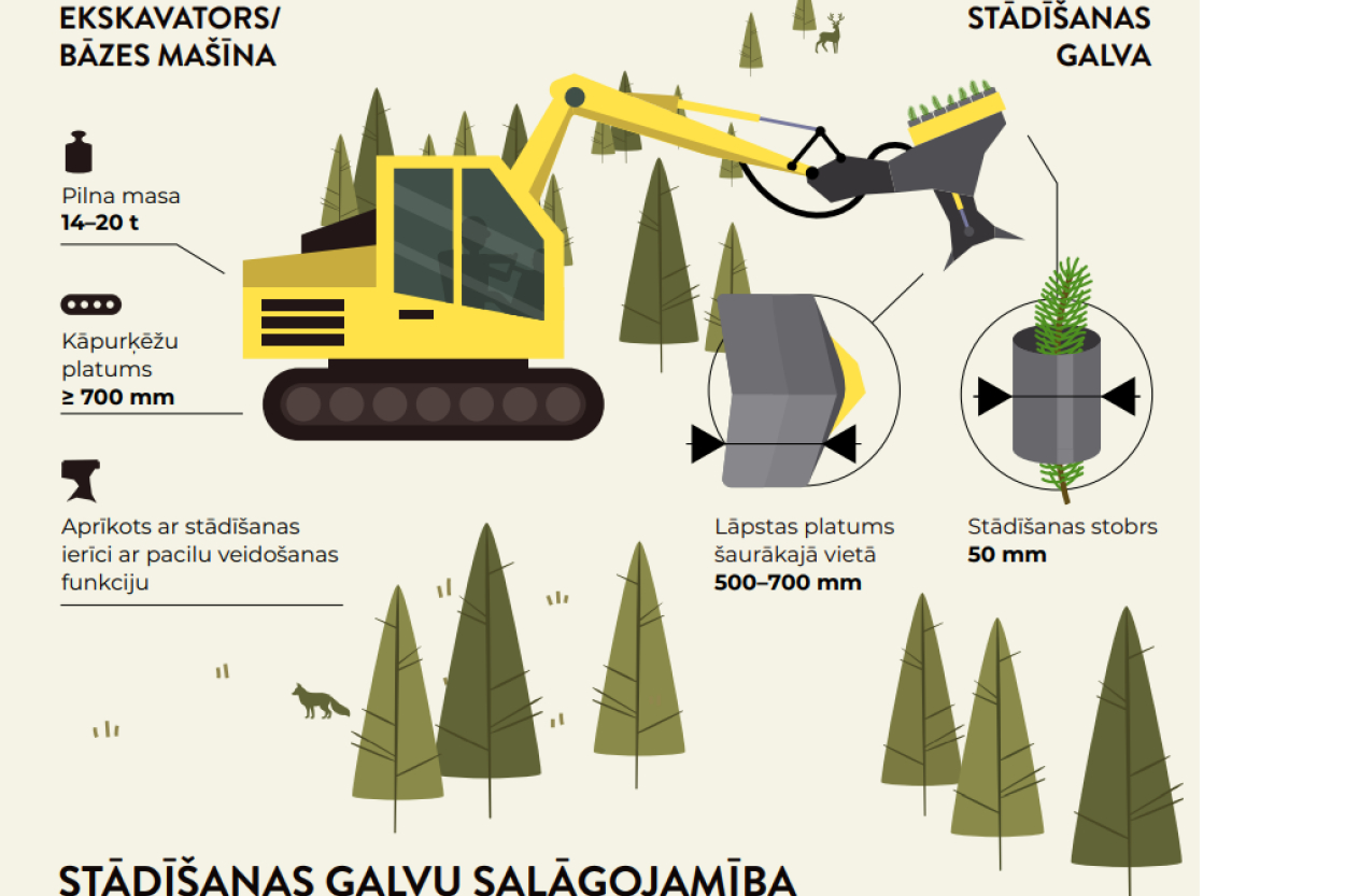 LVM speciālisti māca atjaunot mežus (+VIDEO)