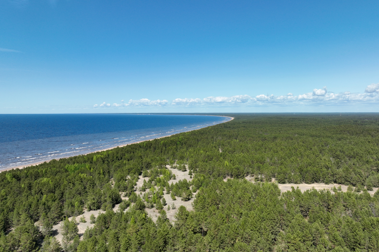 Rojā ūdens temperatūra noslīdējusi zem desmit grādiem