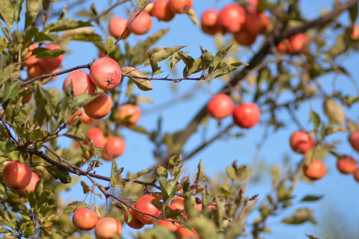 Astronomiskais rudens sāksies 22.septembrī