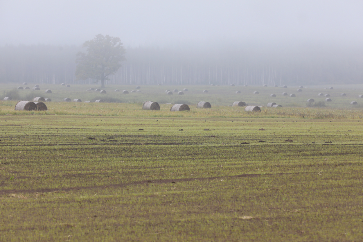 Piektdien Latvijā gaisa temperatūra paaugstināsies līdz +18..+23 grādiem