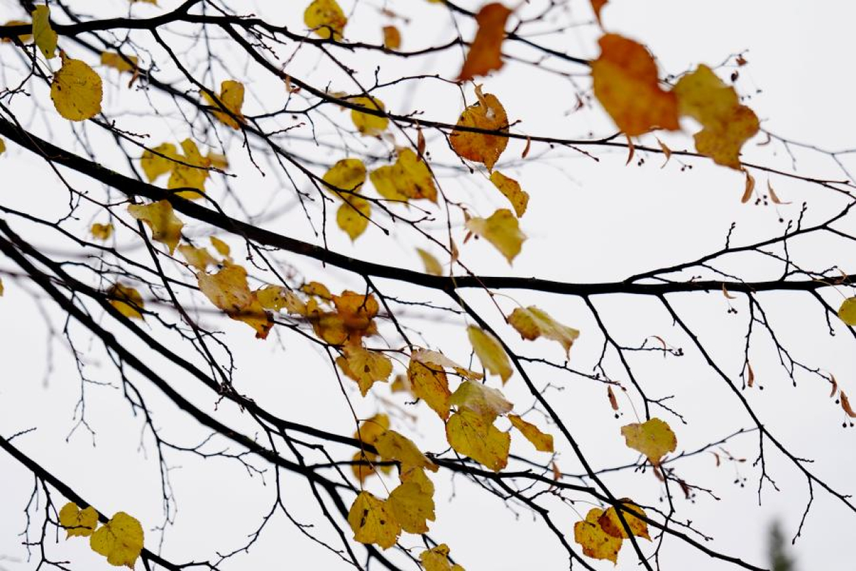 Latvijā sācies meteoroloģiskais rudens