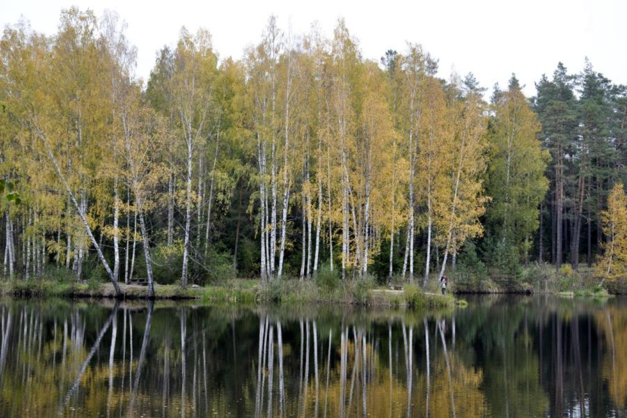 Ceturtdien Latvijā gaidāma silta rudens diena