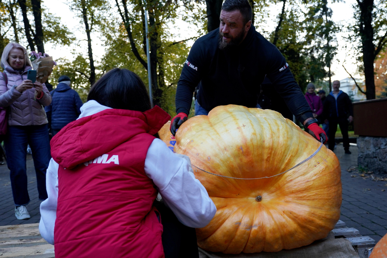 Latvijas lielākā ķirbja čempionātā uzvarējis 443 kilogramu smagais ķirbis