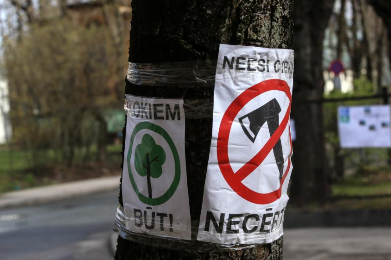 Jūrmalā vēlas veicināt ātrāku lēmuma pieņemšanu par koku ciršanu