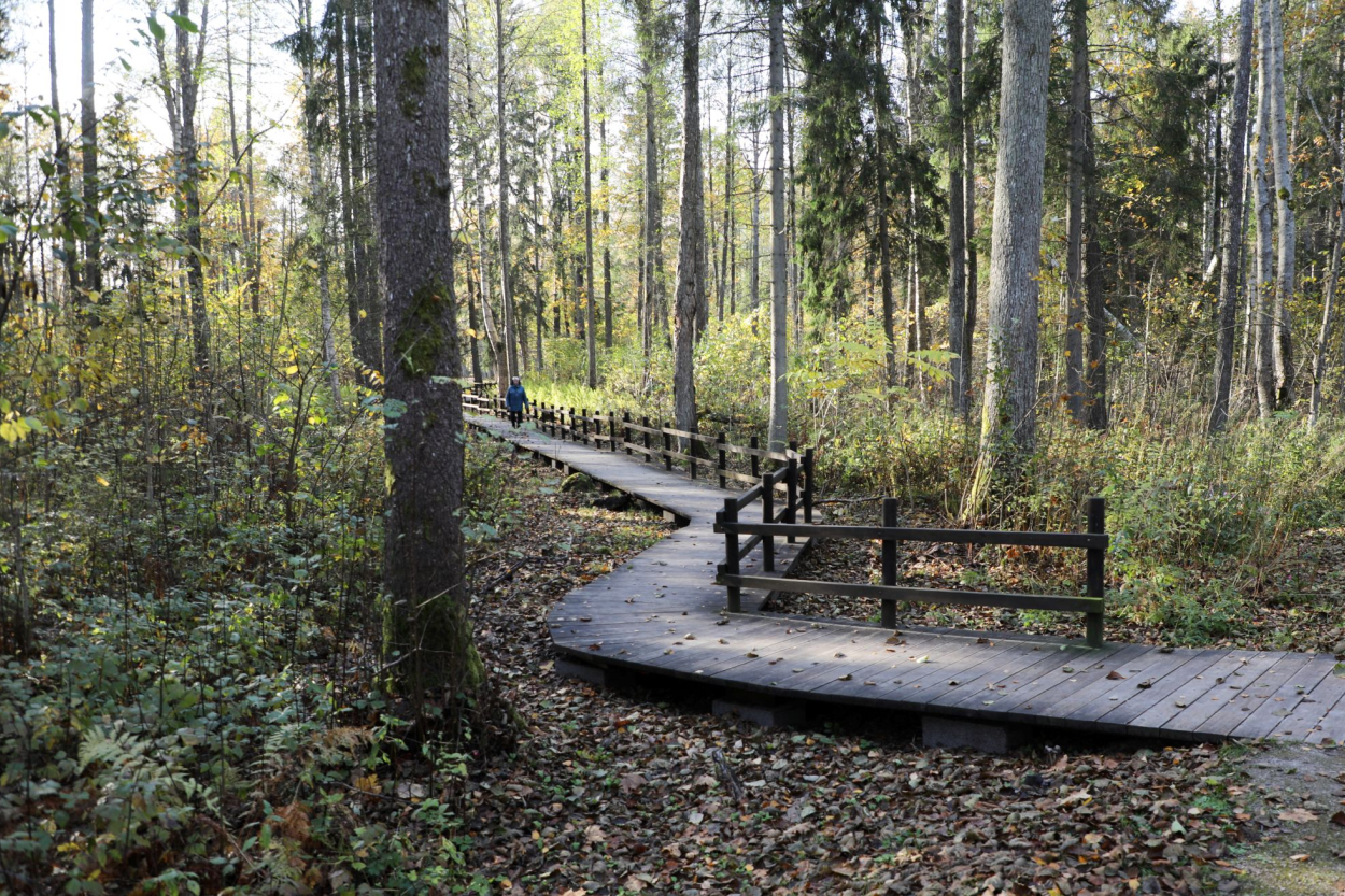 Nedēļas nogalē nedaudz pazemināsies gaisa temperatūra