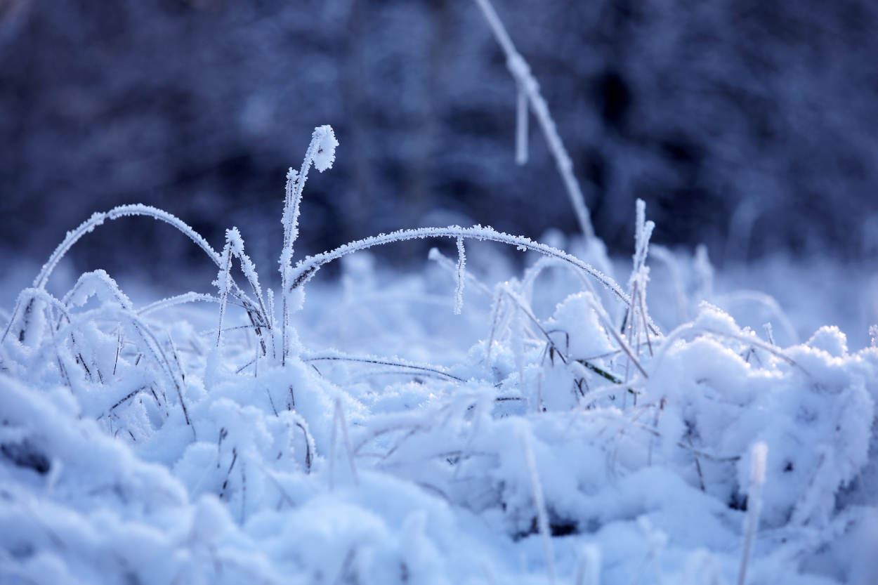 Šonakt Latvijā gaisa temperatūra pazemināsies līdz -4..-9 grādiem