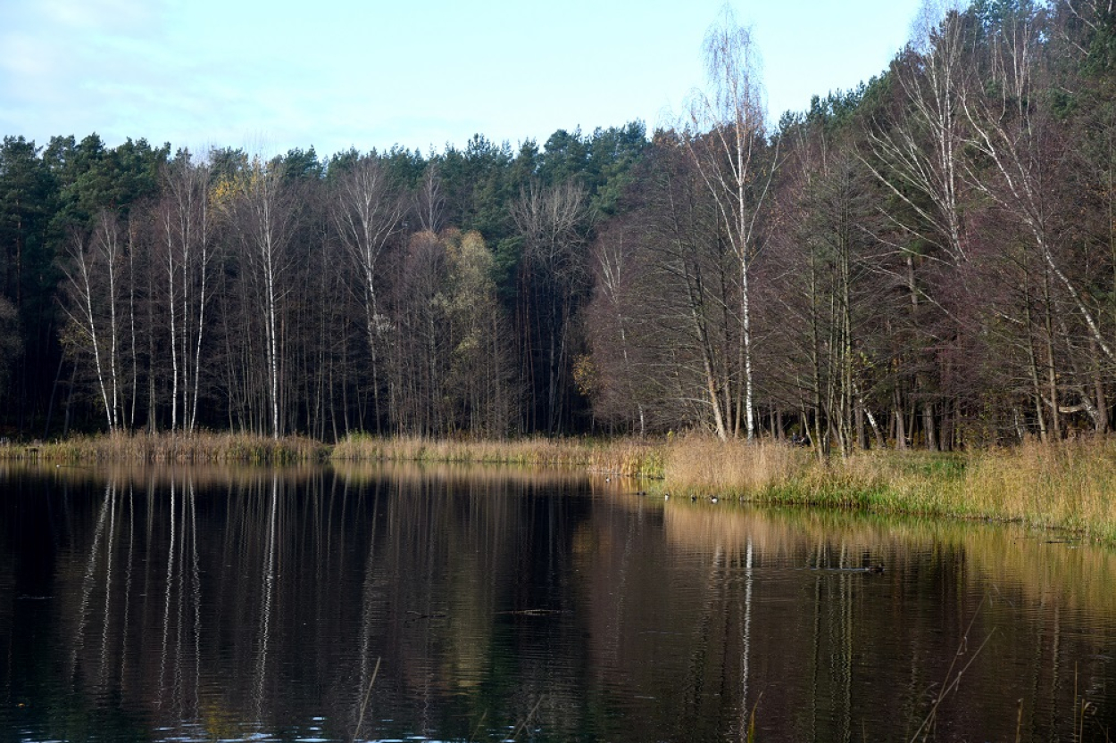 Šmerļa mežā atklāta Pieejamības taka