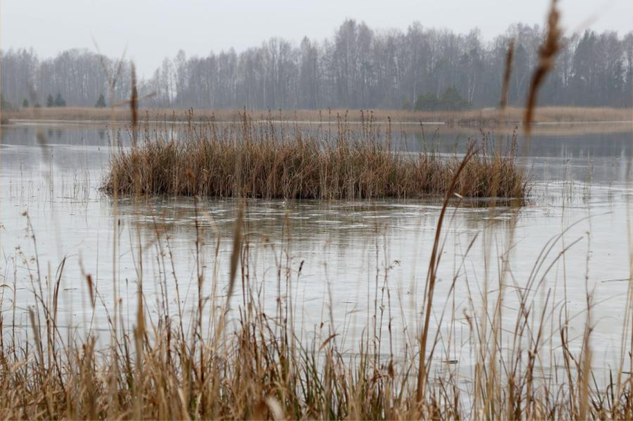 Kaņiera ezeram meklēs jaunu apsaimniekotāju