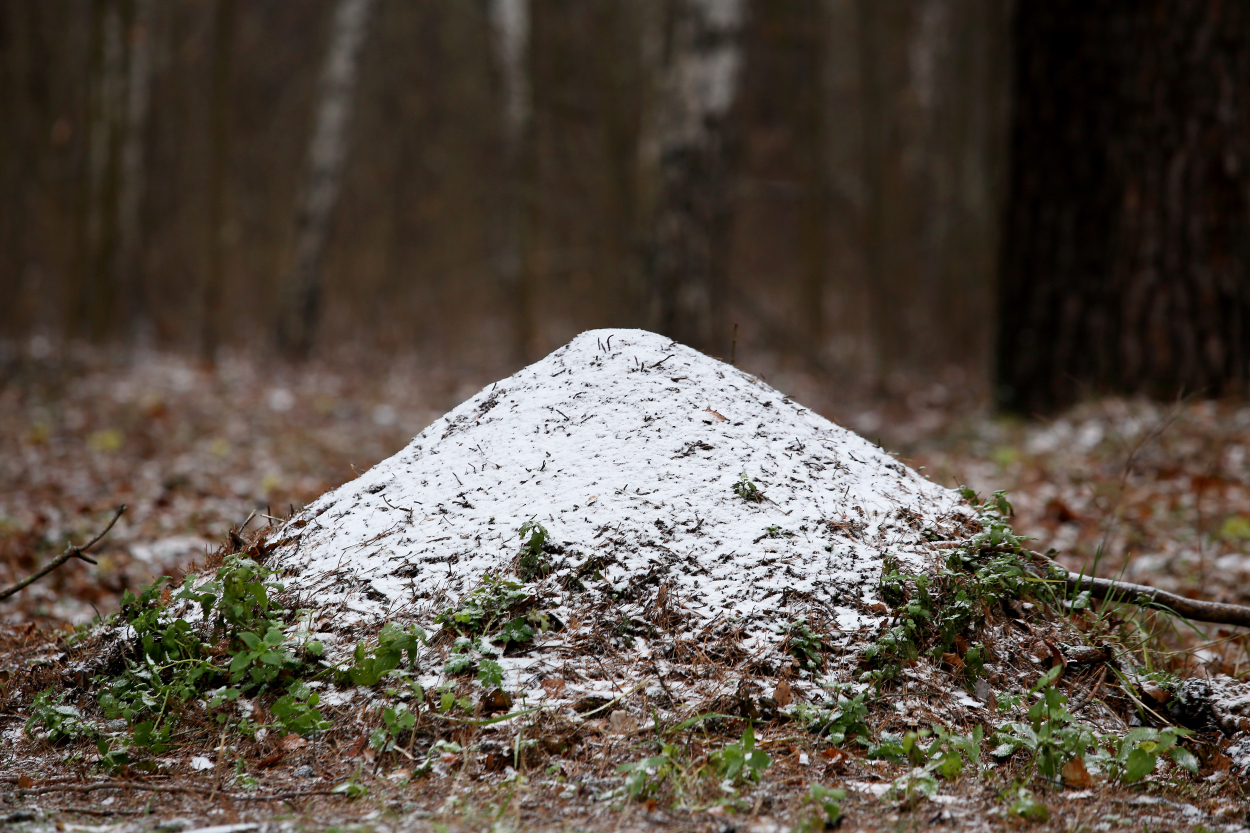 Ceturtdiena būs pārsvarā mākoņaina