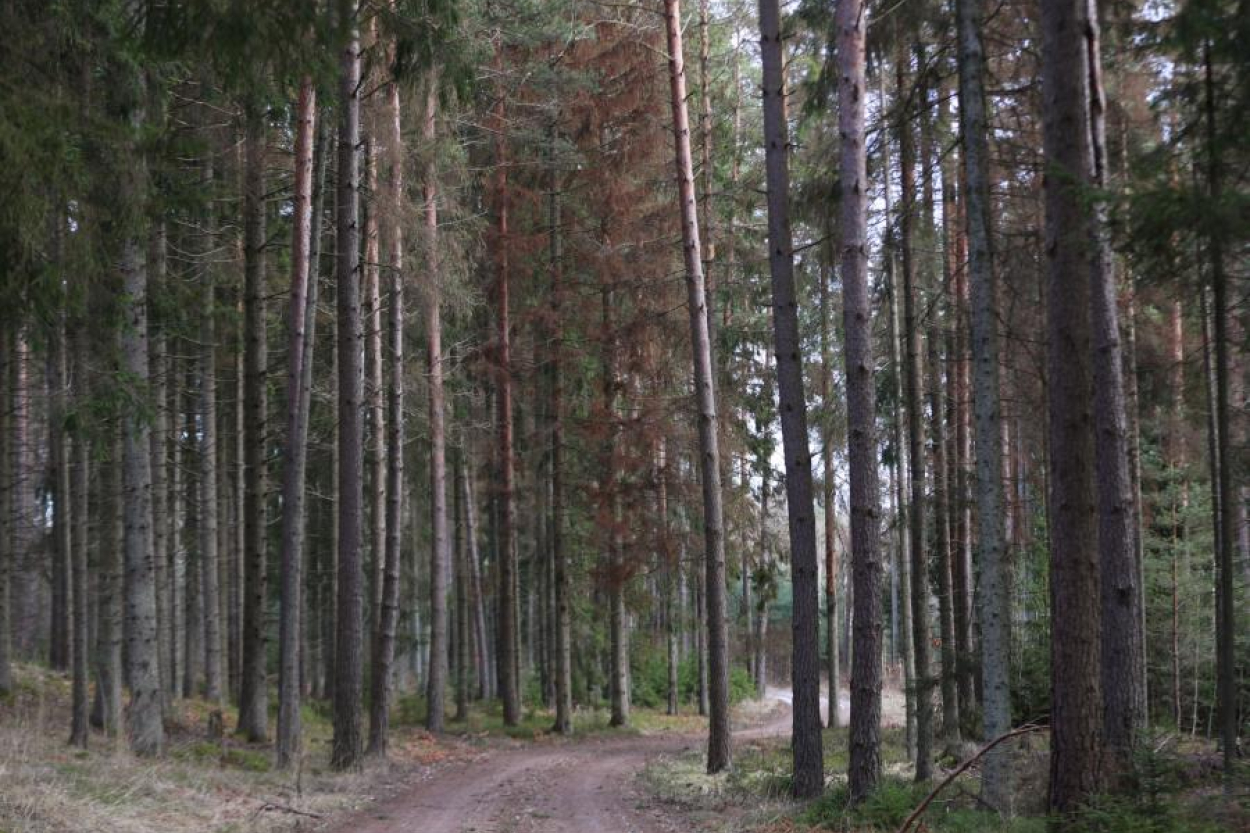 Nedēļas sākumā daudzviet gaidāmi nokrišņi