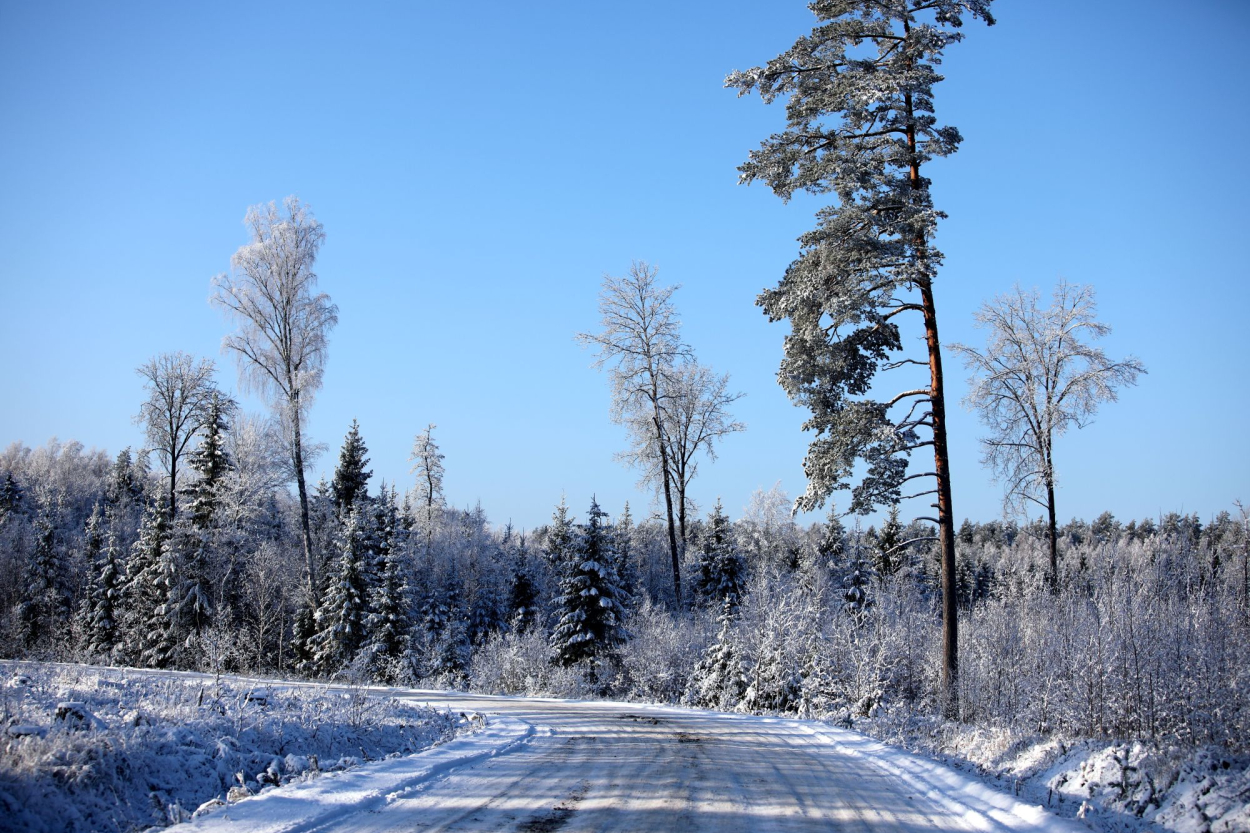 Februāra sākumā gaidāms neliels sals