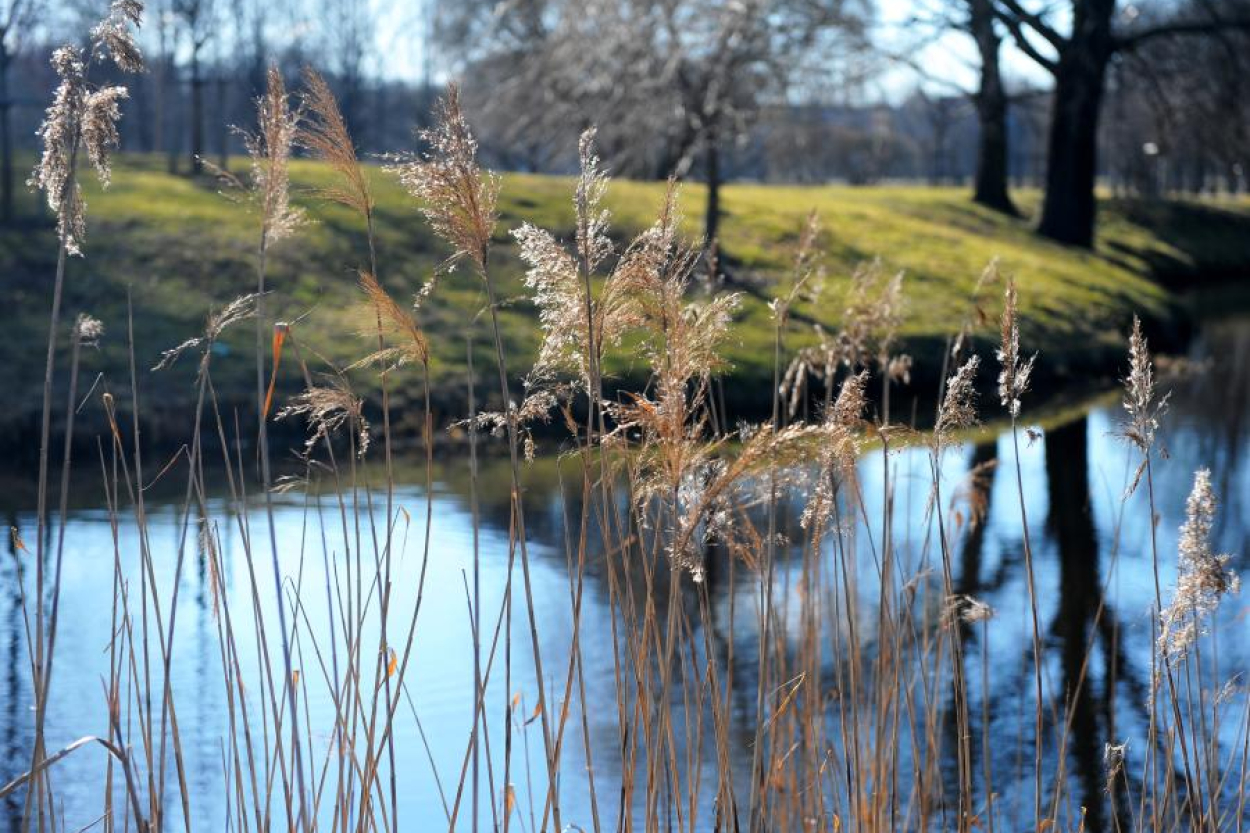 Piektdien Latvijā pierims vējš un daudzviet spīdēs saule