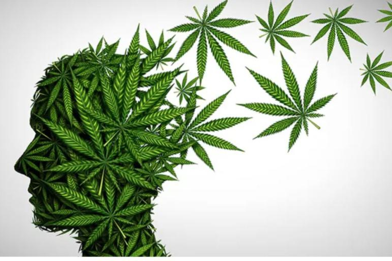 Latvijas valdībā apspriedīs daļēju marihuānas legalizāciju