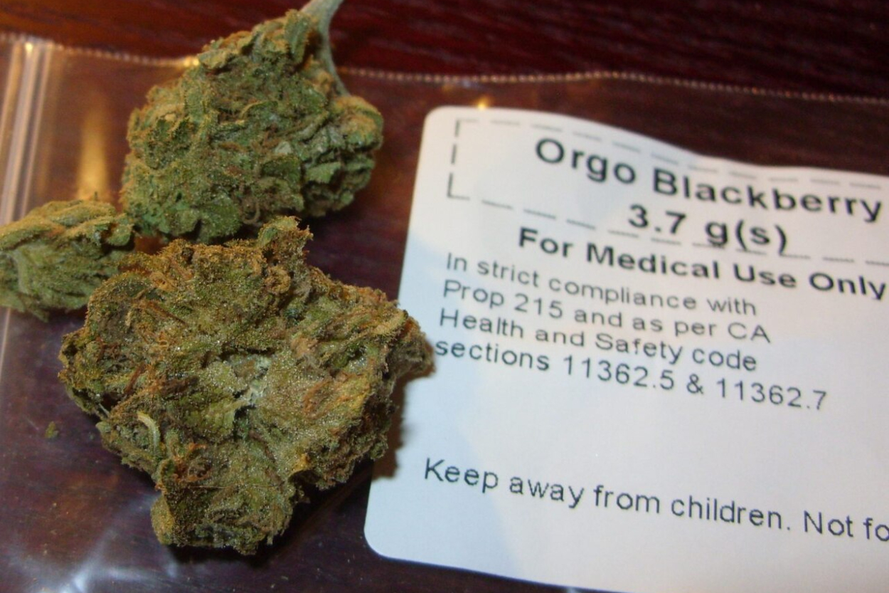 Šodien «‎Progresīvie» runās par medicīniskās marihuānas legalizēšanu (+VIDEO
