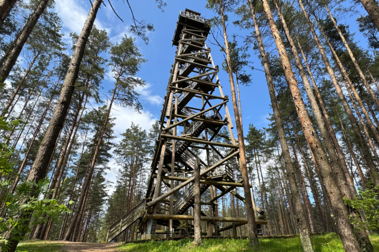 Nākamnedēļ nebūs pieejams Bumbu kalniņa uguns novērošanas tornis