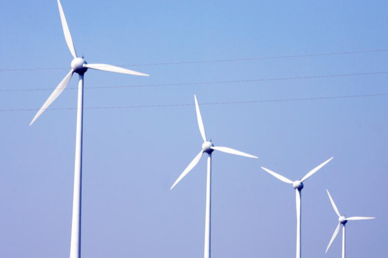 Fonds: Vēja enerģijas izmantošana nedrīkst notikt "uz dabas rēķina"