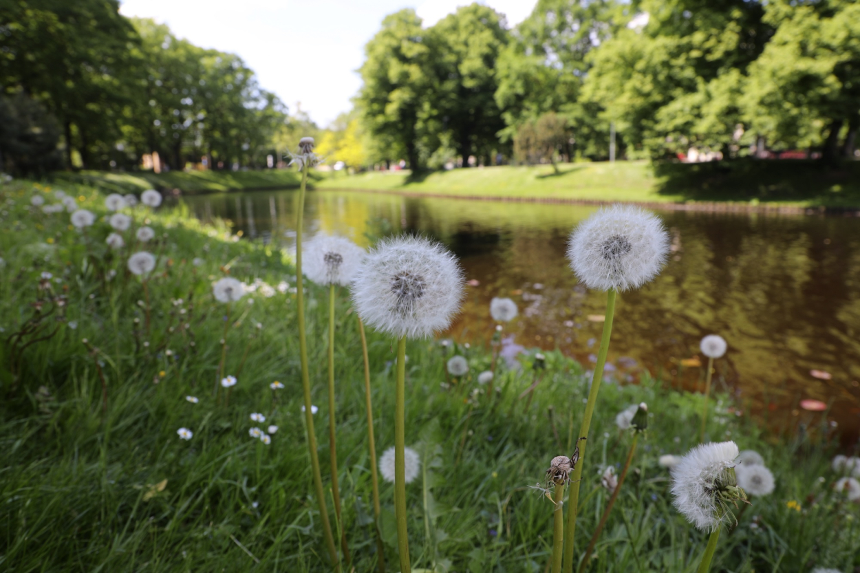 Brīvdienās saule mīsies ar mākoņiem, nākamā nedēļa sāksies ar lietu