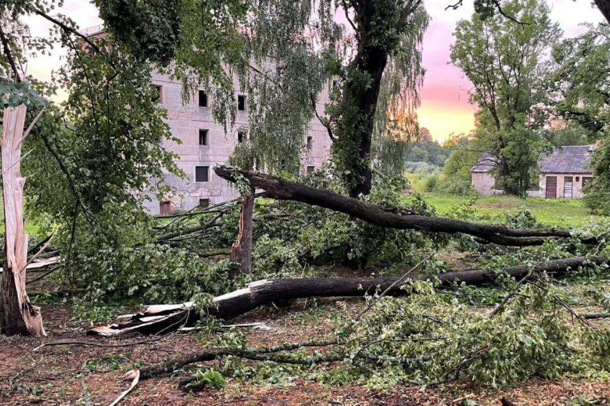 Vēja lauzti koki vietām bloķējuši satiksmi, bet dažviet uzkrituši uz automašīnām