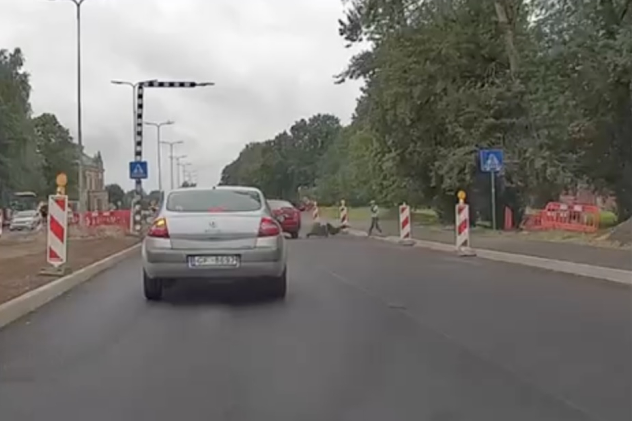 Šausmas Rīgas gājēju pārejā: auto notriec vīrieti ar bērnu (+VIDEO)