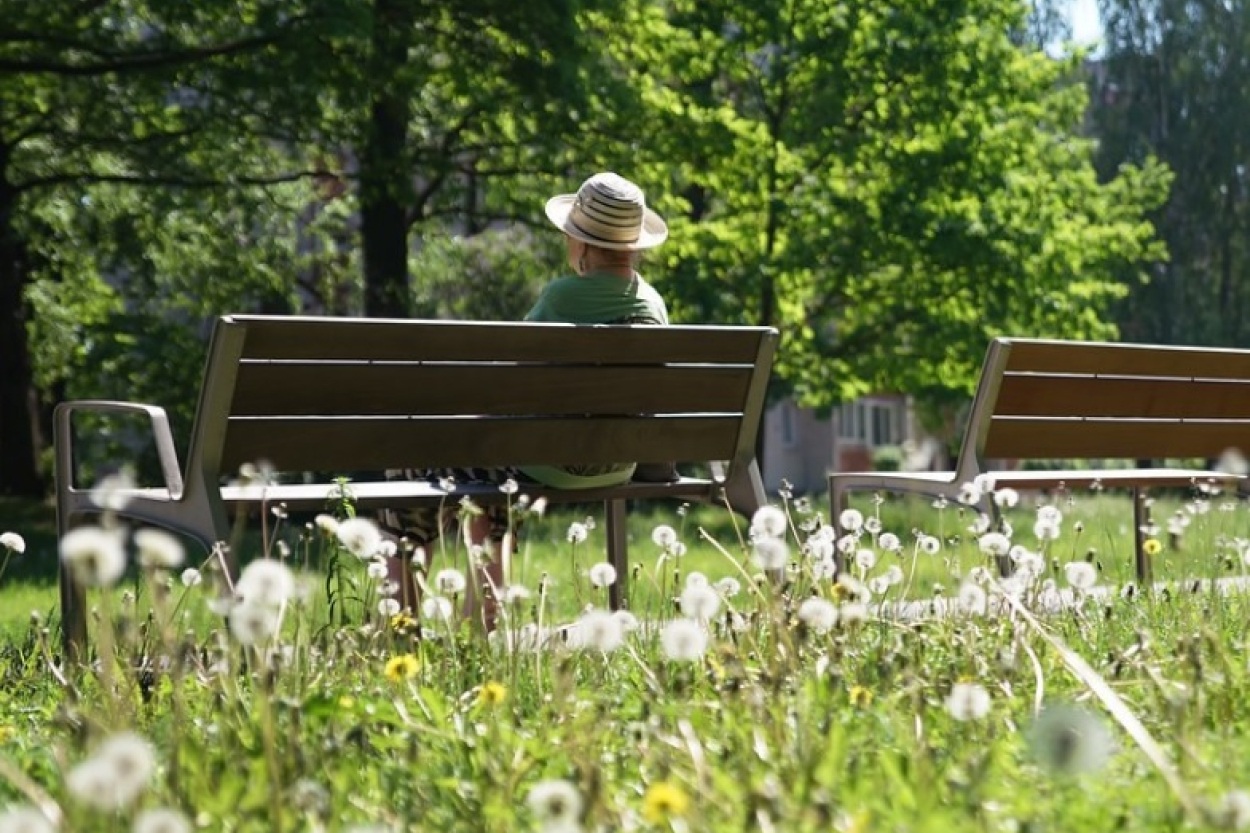 Aktīvākie šogad ideju iesniegšanā bijuši Centrs un Teika (+VIDEO)
