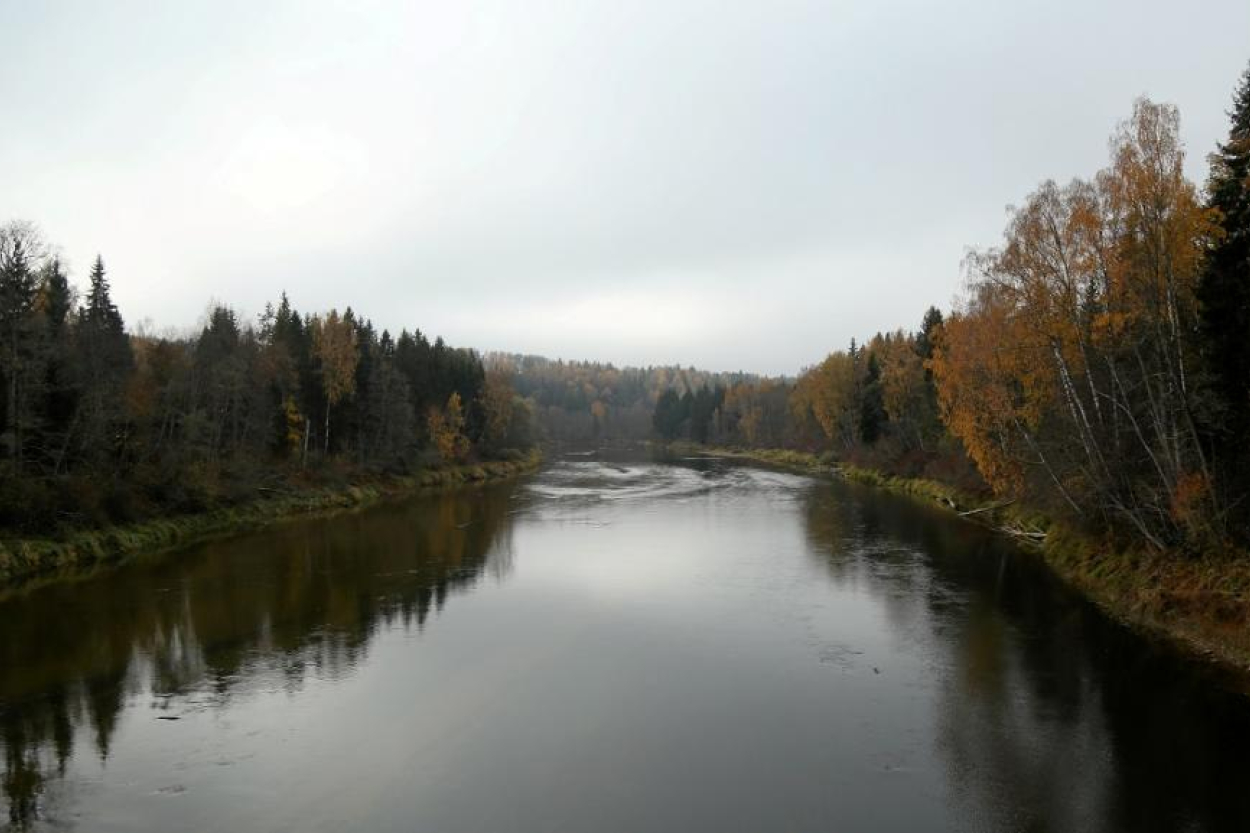 Apgāžoties laivai, Gaujā noslīcis cilvēks