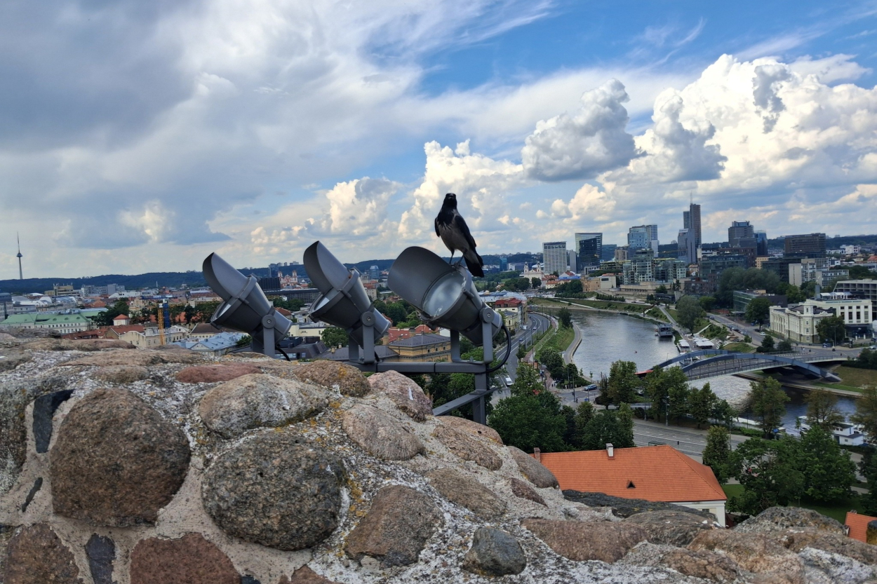 Latvijas ekonomikas izaugsmes temps būs 4 reizes zemāks nekā Lietuvas (+VIDEO)