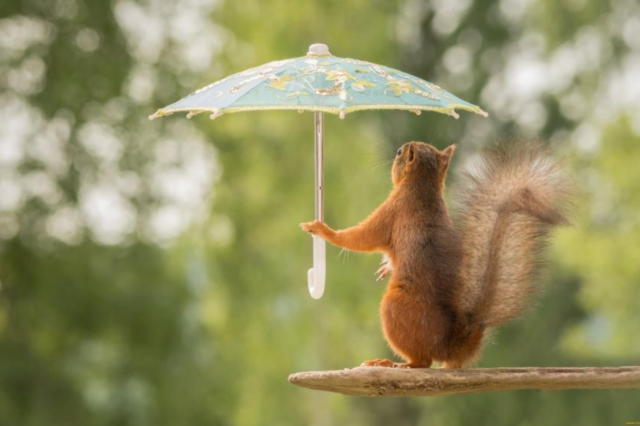 Otrdien brīžiem līs, vietām dārdēs pērkons