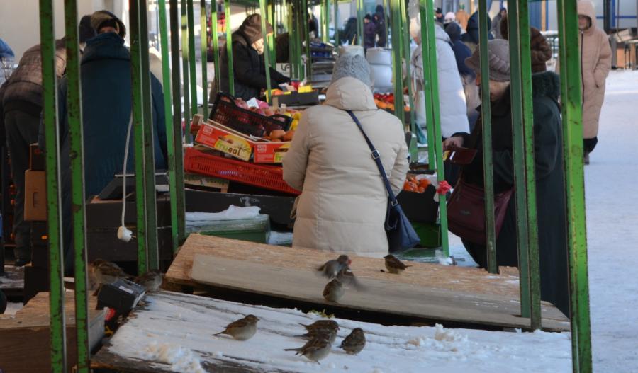 Putni Centrāltirgū vienmēr atradīs ko ēdamu!