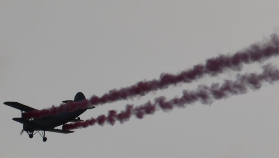 Pēc remonta Polijā ražotās lidmašīnas An-2 tiek izmantotas Latvijas desantnieku apmācībai. Foto: Krišs Ziverts.